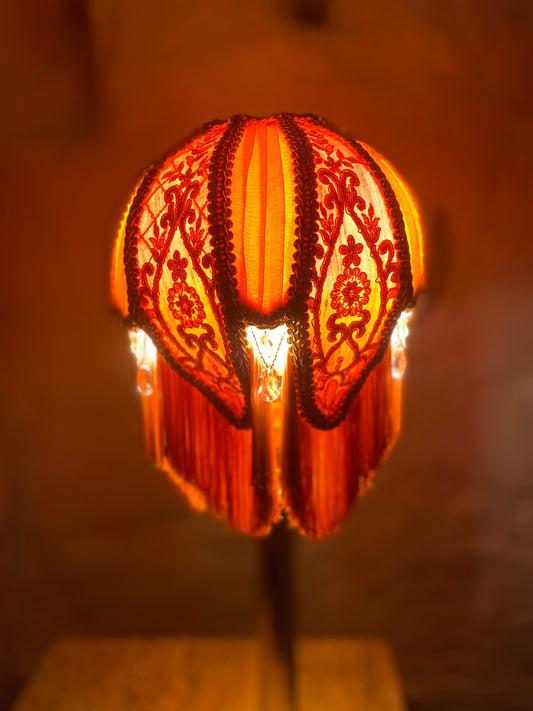 The jolie jellyfish